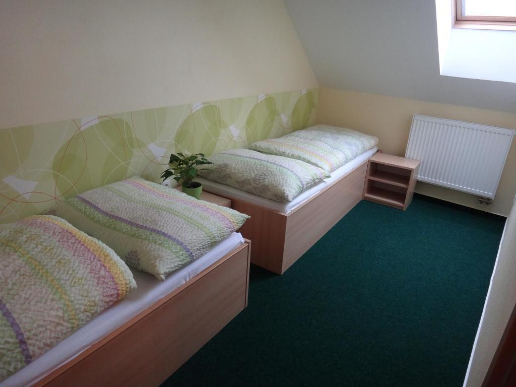 Penzion U Bednaru Pavlov Oda fotoğraf